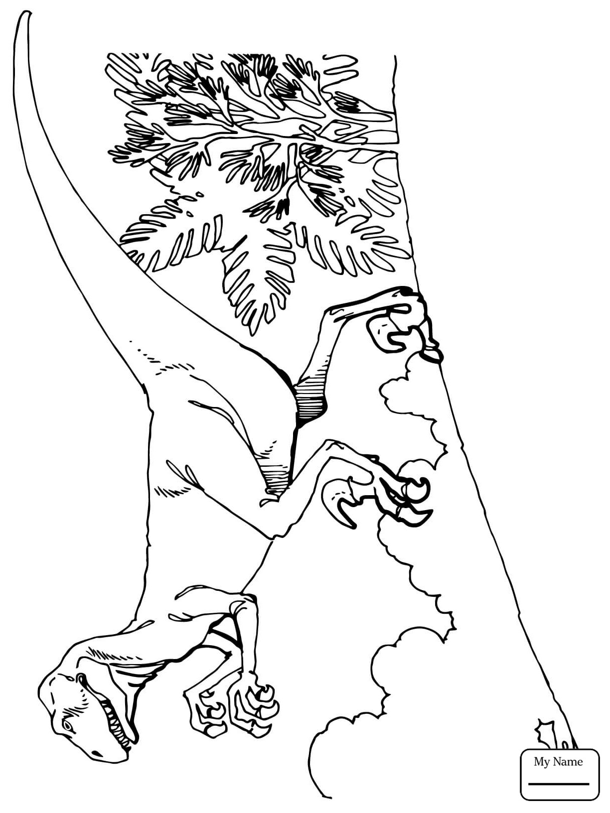 1224x1632 Two Pteranodons Dinosaurs Coloring Pages For Kids Lovely Dinosaurs