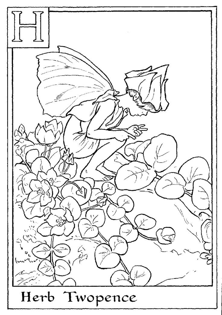 Cereal Coloring Page Inspirational 146 Best Free Colouring Pages 736x1045 Cereal Coloring Page Inspirational 146 Best Free Colouring Pages