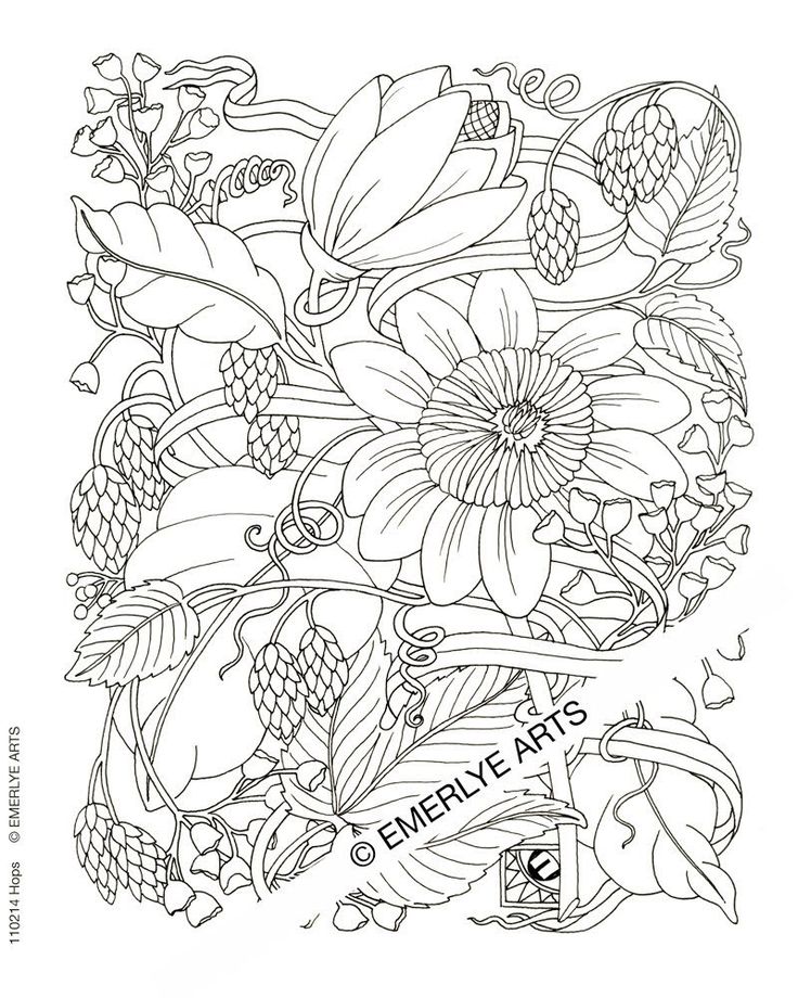 736x920 Cozy Inspiration Challenging Coloring Pages For Adults 31 Best