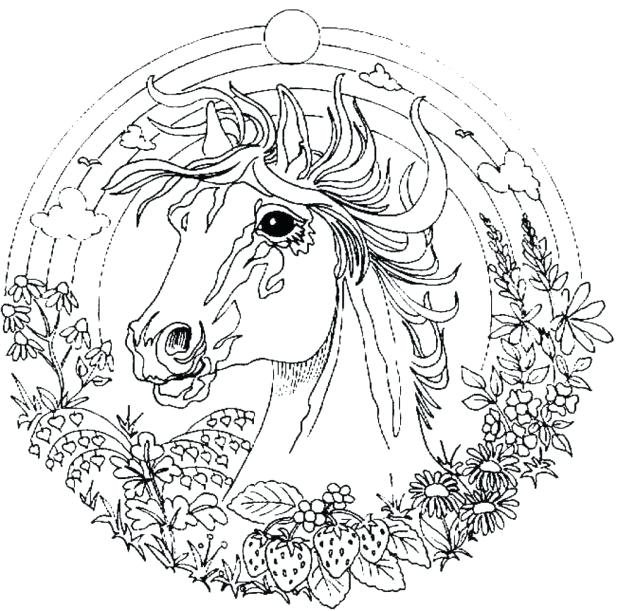 618x611 Challenging Coloring Pages Various Adult Coloring Pages Printable