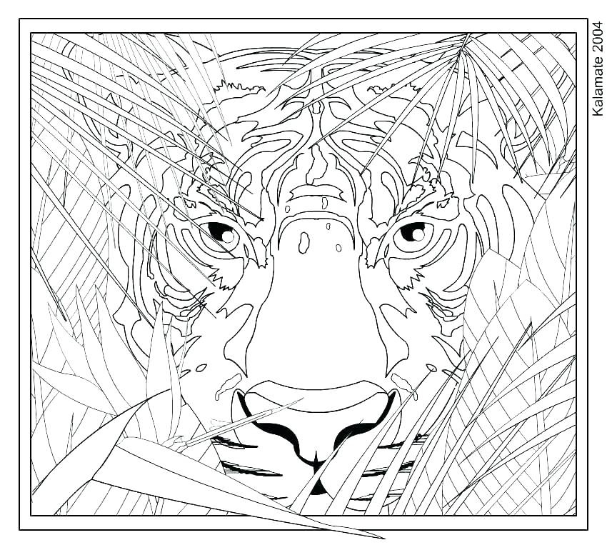 850x770 Challenging Coloring Pages Challenging Coloring Pages For Adults