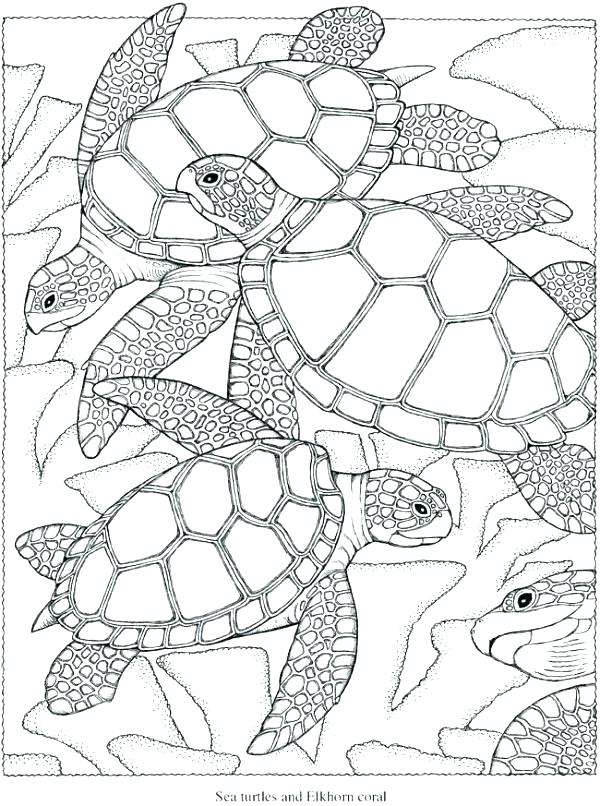 600x806 Challenging Coloring Pages Hard Coloring Pages Challenging
