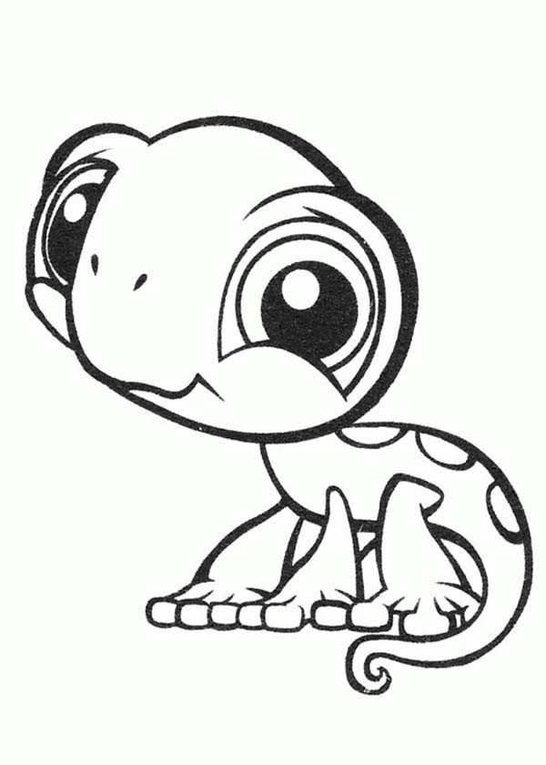 Chameleon Coloring Page Luxury Chameleon Coloring Pages Print 600x840 Chameleon Coloring Page Luxury Chameleon Coloring Pages Print