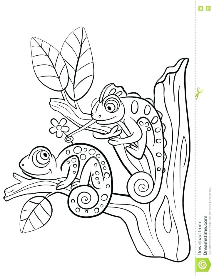 Chameleon Coloring Page Mixed Up Chameleon Coloring Page Chameleon 728x938 Chameleon Coloring Page Mixed Up Chameleon Coloring Page Chameleon