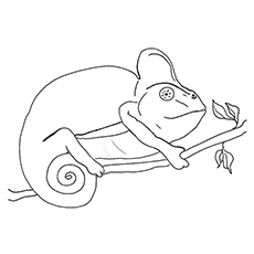 Chameleon Coloring Pages 230x230 Chameleon Coloring Pages