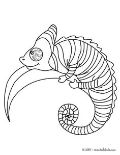 Chameleon Coloring Pages 236x304 Chameleon Coloring Pages