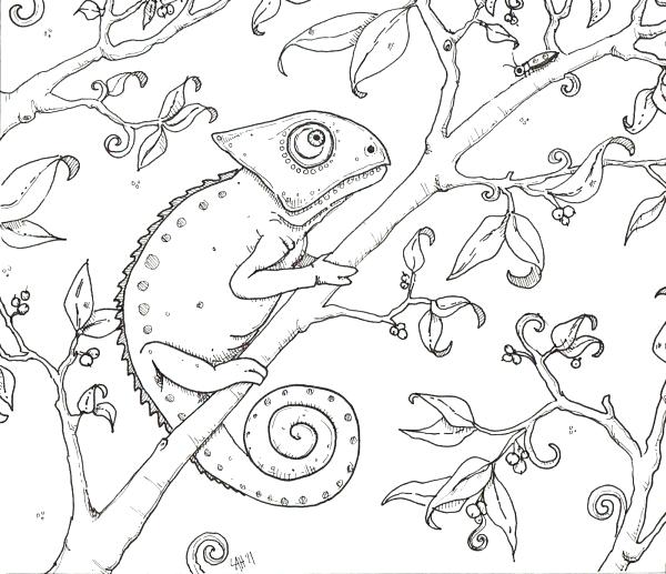 Chameleon Coloring Pages Chameleon Coloring Page Coloring Pages 600x517 Chameleon Coloring Pages Chameleon Coloring Page Coloring Pages