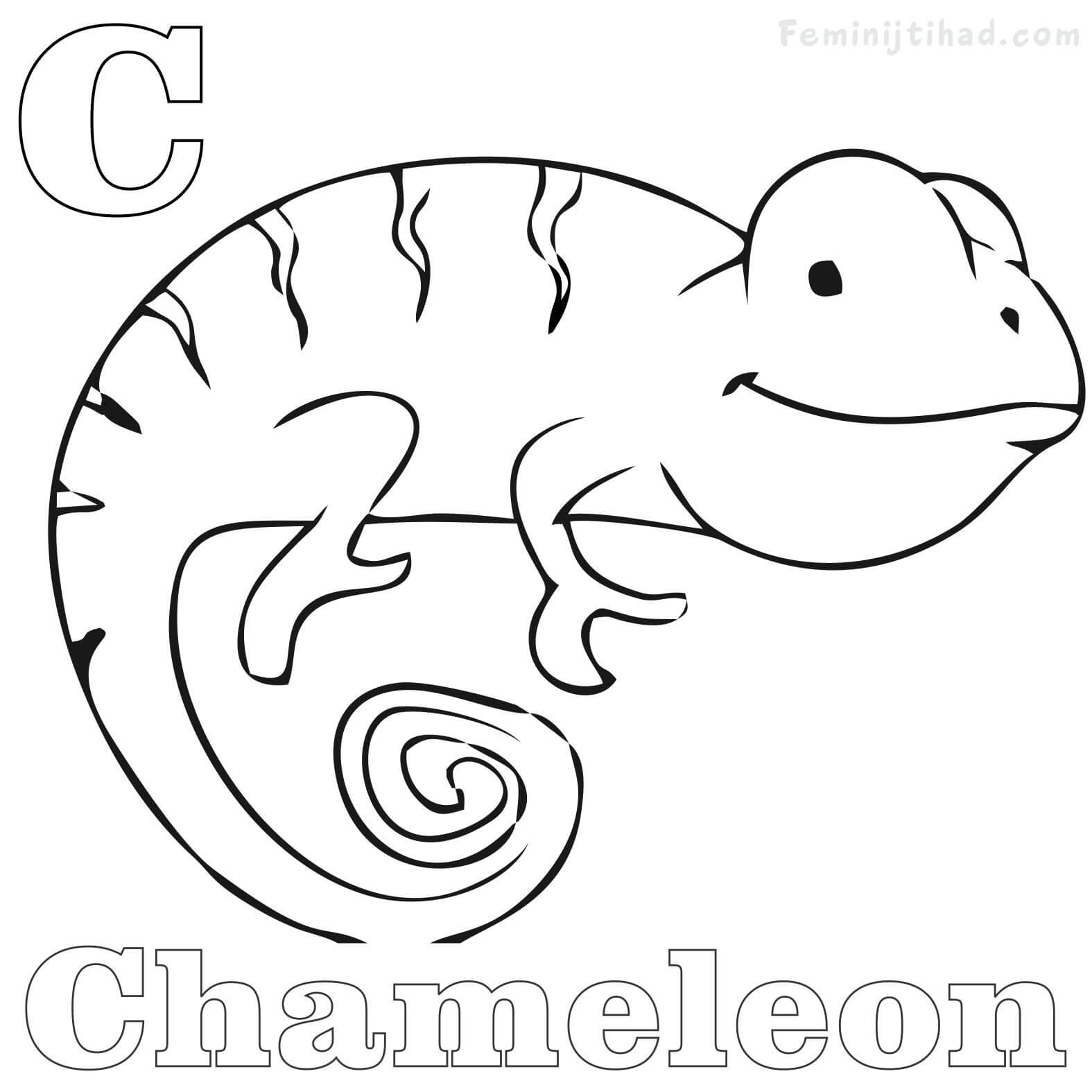 Chameleon Coloring Pages Printable Coloring Pages For Kids 1575x1575 Chameleon Coloring Pages Printable Coloring Pages For Kids