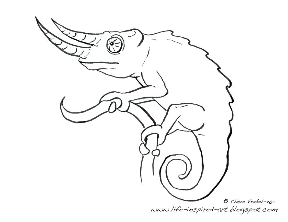 Chameleon Coloring Pictures Good Chameleon Coloring Pages For Free 940x726 Chameleon Coloring Pictures Good Chameleon Coloring Pages For Free