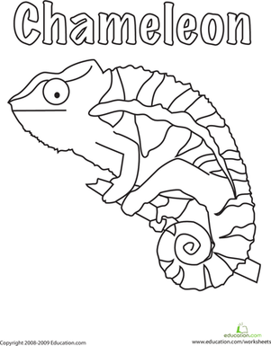 Color The Chameleon! Worksheet 301x385 Color The Chameleon! Worksheet