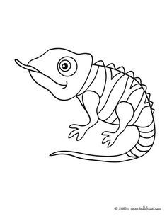 Cute Chameleon Coloring Page 236x305 Cute Chameleon Coloring Page