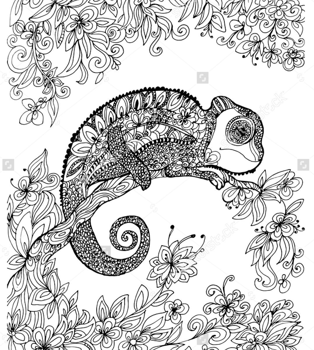 Linefa Me Coloring Pages Colouring Chameleon For Adults Free 1077x1200 Linefa Me Coloring Pages Colouring Chameleon For Adults Free