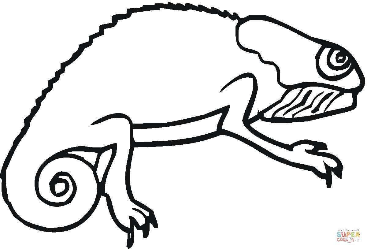 Shocking Chameleon Coloring Page Printable Image Pic For Iguana 1200x814 Shocking Chameleon Coloring Page Printable Image Pic For Iguana