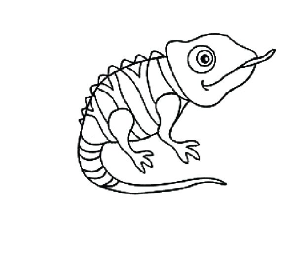 Chameleon Coloring Page Chameleon Coloring Animals Pascal 600x535 Chameleon Coloring Page Chameleon Coloring Animals Pascal