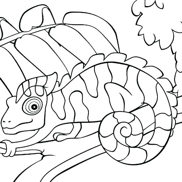 Chameleon Coloring Page Chameleon Coloring Pages Mixed Up 600x600 Chameleon Coloring Page Chameleon Coloring Pages Mixed Up