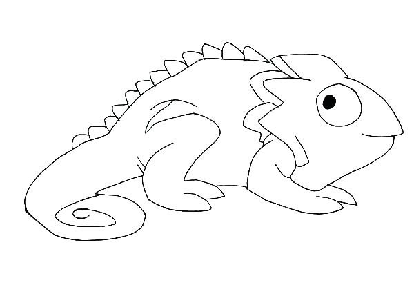 Chameleon Coloring Page Drawing Coloring Pages Chameleon Coloring 600x429 Chameleon Coloring Page Drawing Coloring Pages Chameleon Coloring