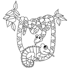 230x230 Chameleon Coloring Pages