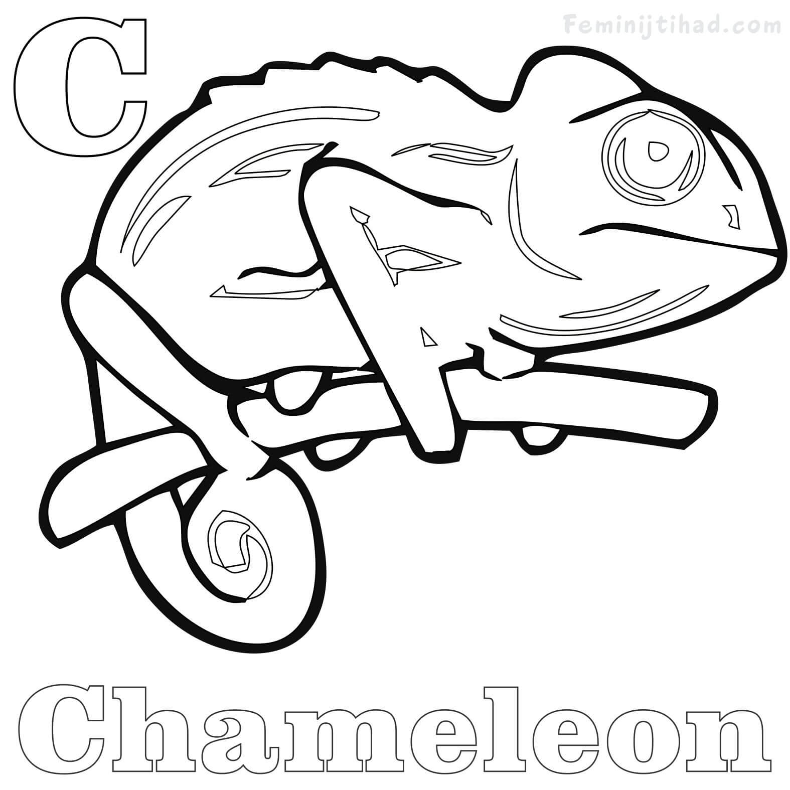 1575x1575 Chameleon Coloring Pages Printable Coloring Pages For Kids
