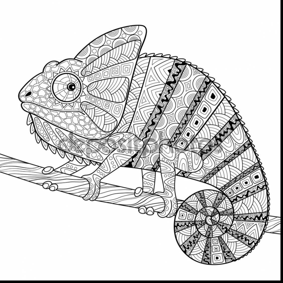 1126x1126 Chameleon Coloring Page Astounding Lizard Pages Printable