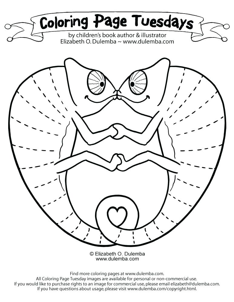 773x1000 Chameleon Coloring Pictures Chameleon Pictures To Color Coloring