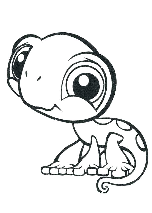 600x840 Reptiles Coloring Pages Chameleon Coloring Pages Little Pet Shop