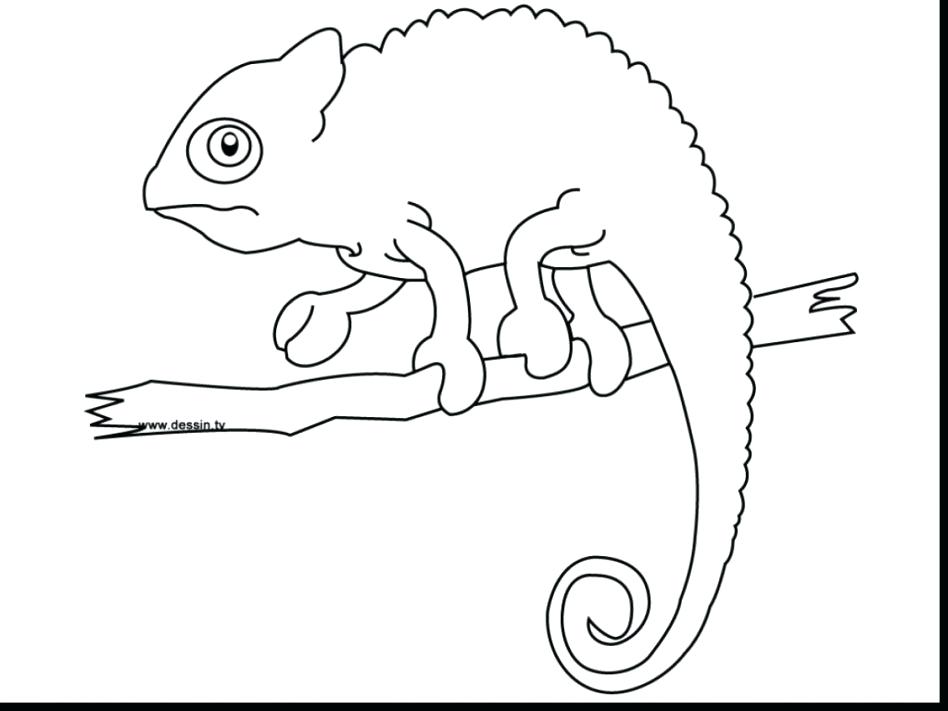 948x711 Chameleon Coloring Pages Free Printable Eon Coloring Pages