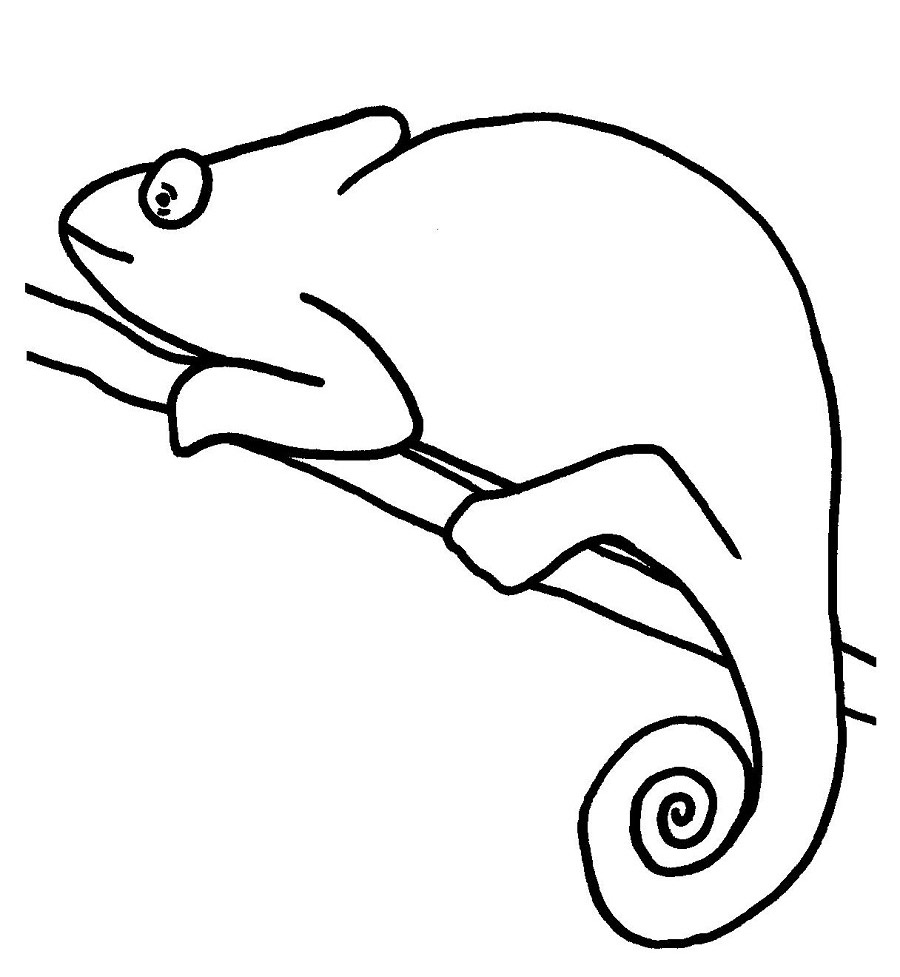 900x977 Printable Chameleon Coloring Pages
