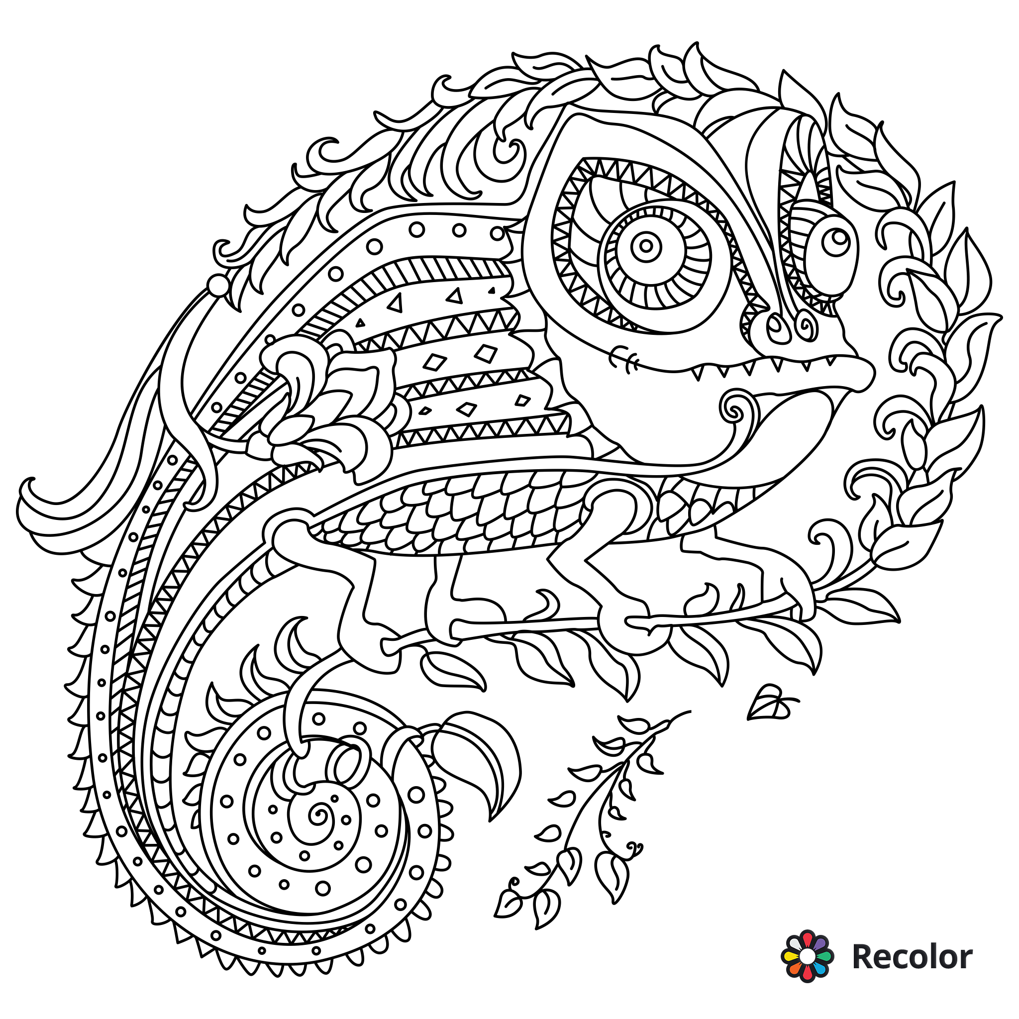 2048x2048 Cute Chameleon Coloring Page Recolorapp Animal Coloring Pages
