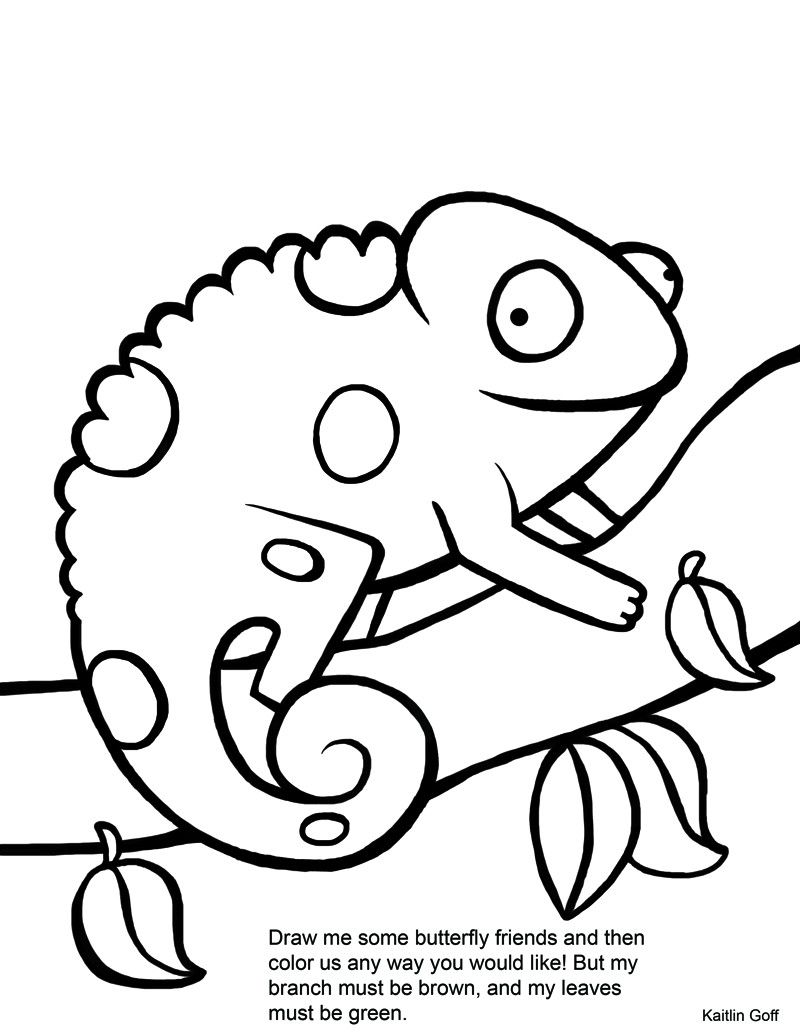 800x1035 Download Chameleon Coloring Pages Fun Ideas For Kayleebug