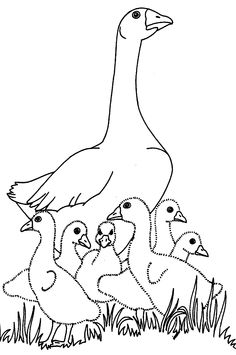 Goslings In The Barn Coloring Pages 236x355 Goslings In The Barn Coloring Pages