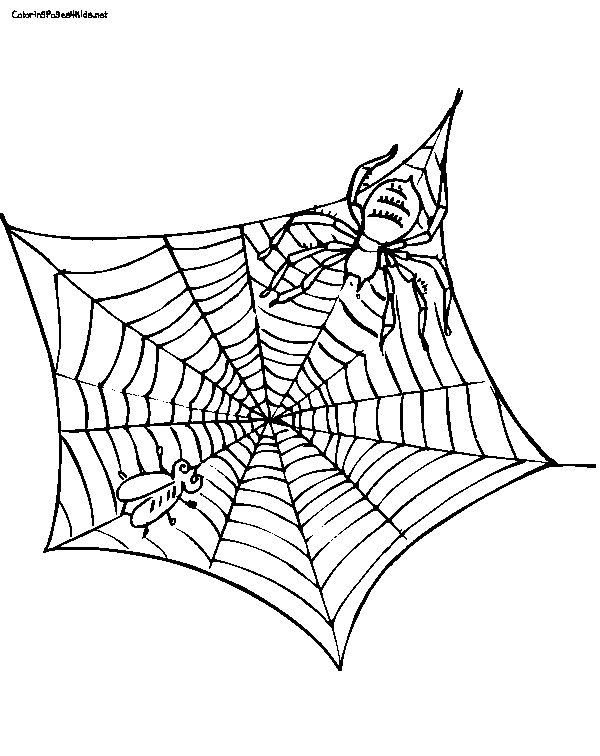 Charlotte's Web Free Printable Coloring Pages Sonlight Core B 600x756 Charlotte's Web Free Printable Coloring Pages Sonlight Core B