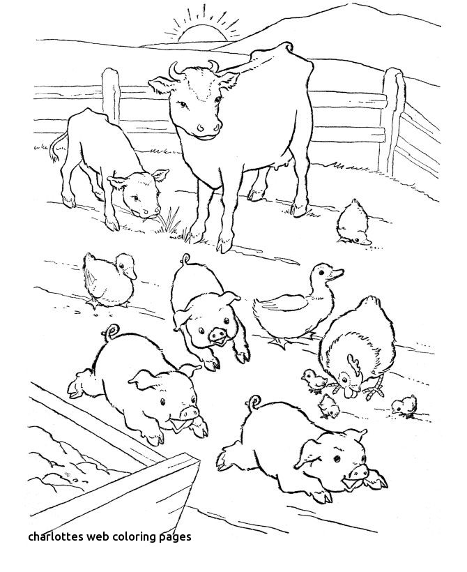 44 Best Ffa Quilt Images On For Charlottes Web Coloring 670x820 44 Best Ffa Quilt Images On For Charlottes Web Coloring