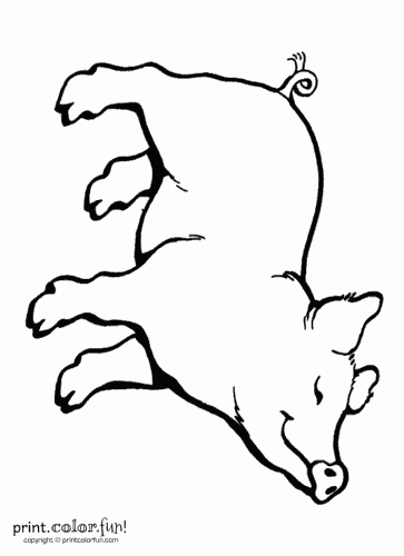 Charlotte's Web Coloring Pages Fun! Free Printables 363x500 Charlotte's Web Coloring Pages Fun! Free Printables