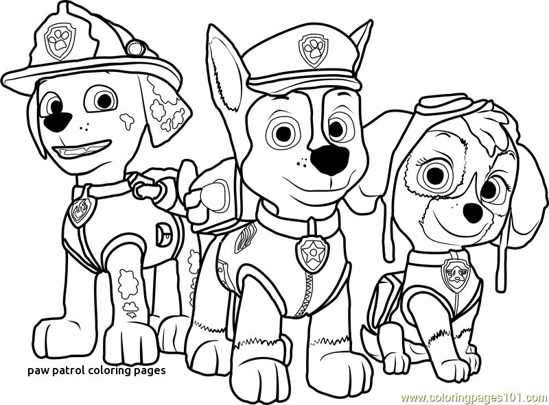 Coloring Pages Paw Patrol Awesome Free Colouring Pages Paw Patrol 800x591 Coloring Pages Paw Patrol Awesome Free Colouring Pages Paw Patrol