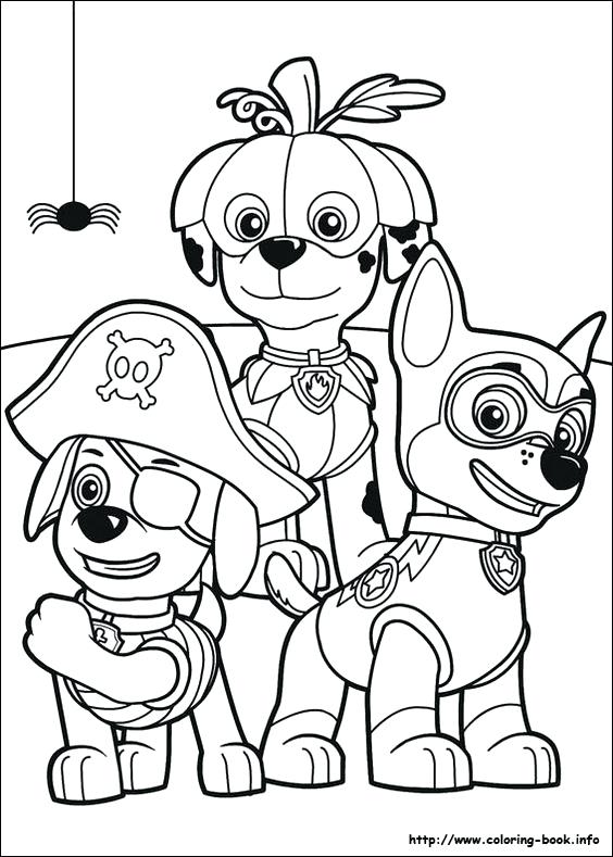564x789 Zuma Martial Chase Dressed Up Paw Patrol Coloring Pages Rocky Page