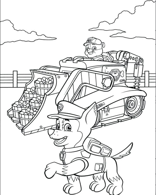Rubble On His Construction Truck And Chase Paw Patrol Coloring 600x750 Rubble On His Construction Truck And Chase Paw Patrol Coloring