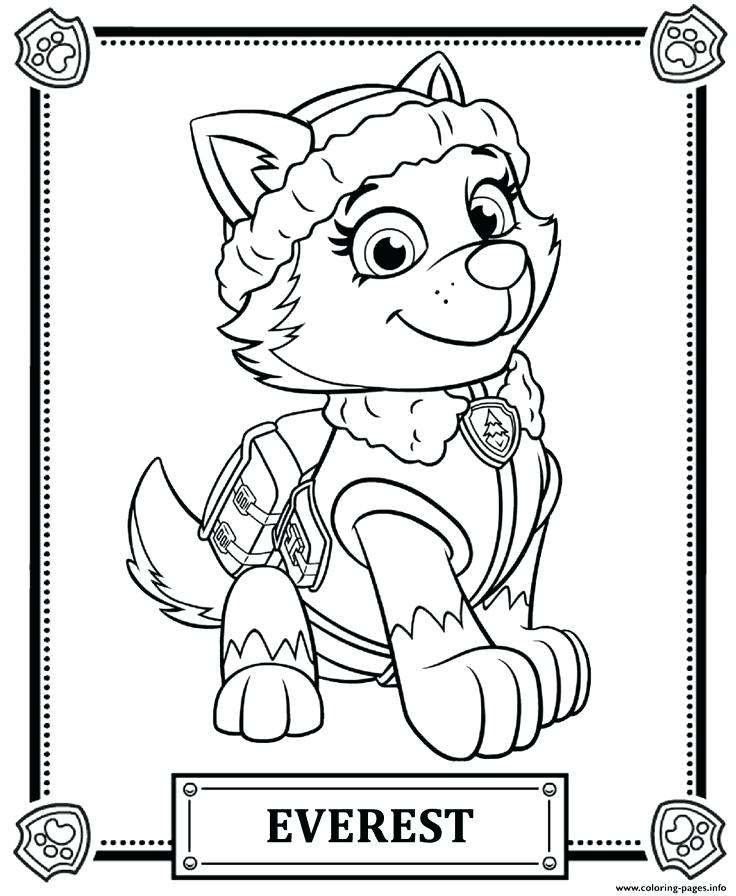 Skye Paw Patrol Coloring Pages Paw Patrol Coloring Pages As Well 736x896 Skye Paw Patrol Coloring Pages Paw Patrol Coloring Pages As Well