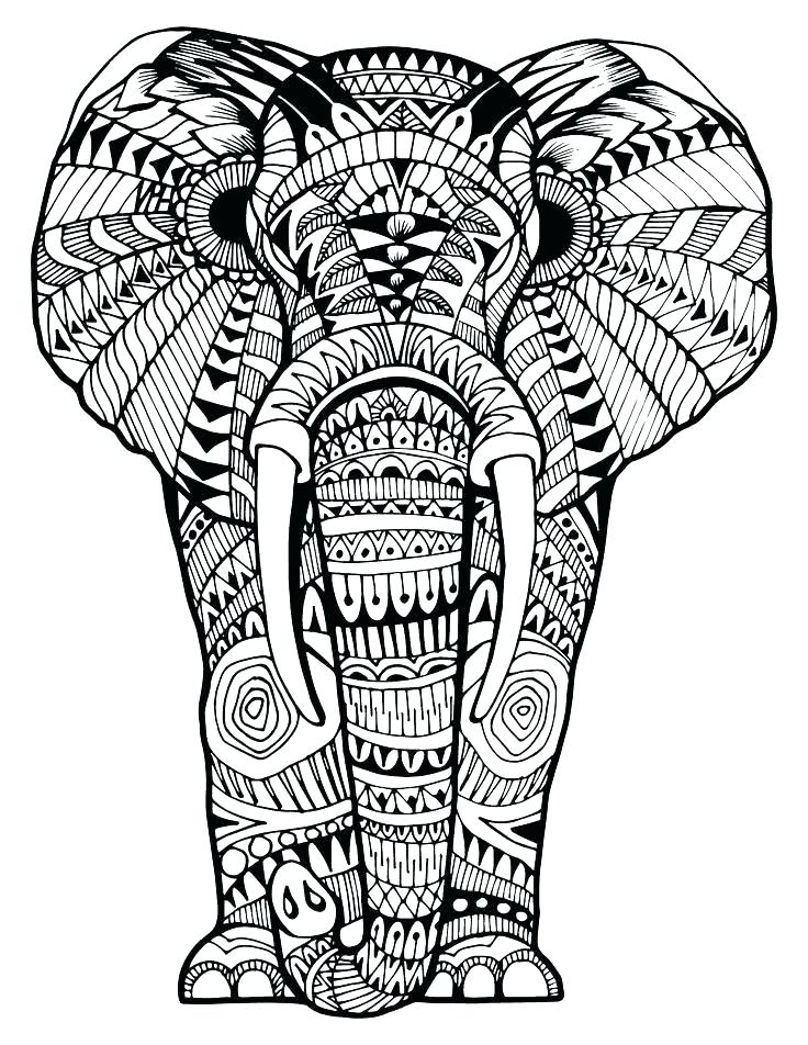 736x952 Coloring Book Elephant Elephant Coloring Book And Free Elephant