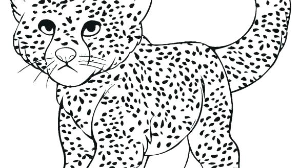 585x329 Cheetah Coloring Pages Coloring Pages Of Cheetahs Coloring Pages