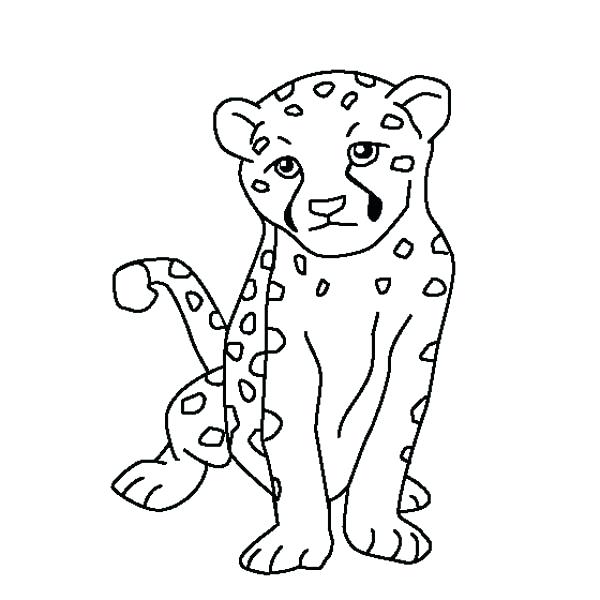 600x600 Cheetah Coloring Pages Cute Baby Cheetah Coloring Page Free Online