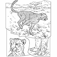 230x230 25 Best Cheetah Coloring Pages For Your Little Ones