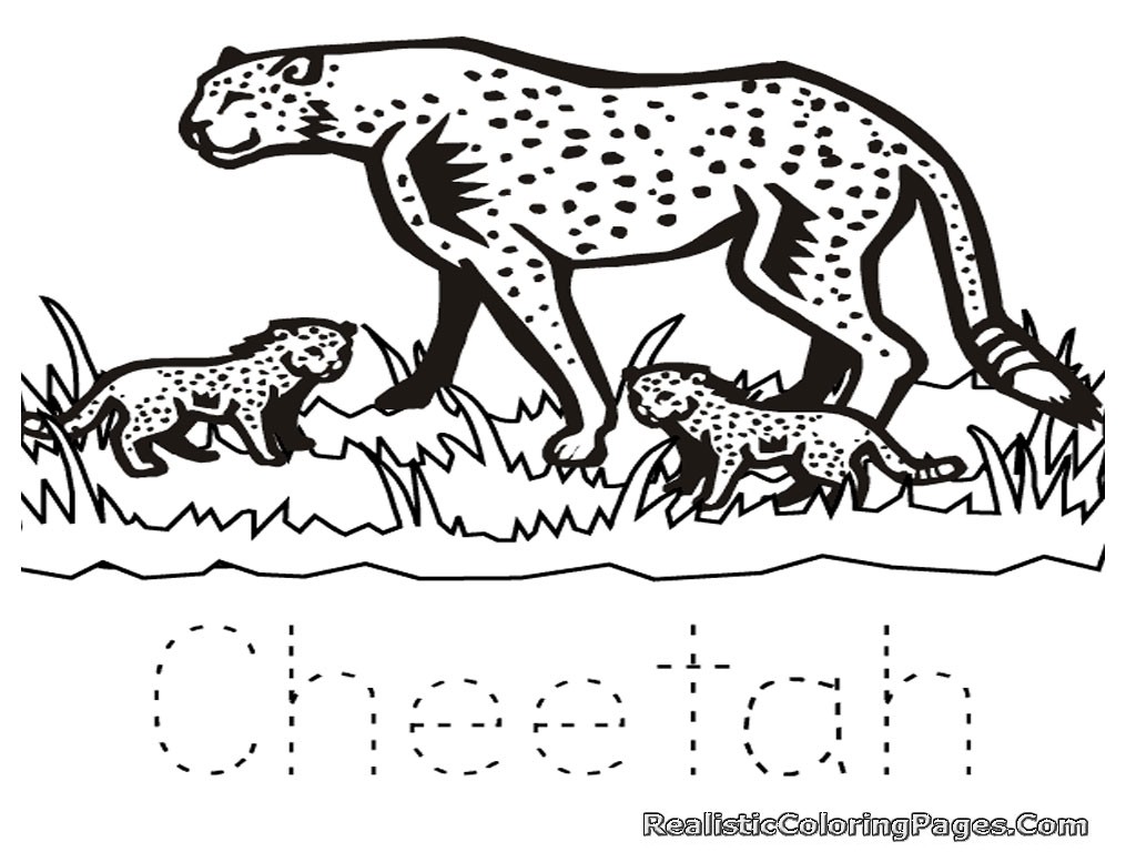 Cheetah Coloring Pages 1024x768 Cheetah Coloring Pages