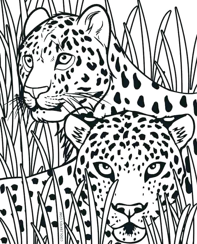 Cheetah Coloring Pages Cheetah Coloring Page Cute Cheetah Coloring 687x850 Cheetah Coloring Pages Cheetah Coloring Page Cute Cheetah Coloring
