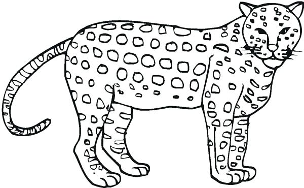 Cheetah Coloring Awesome Cheetah Coloring Page Cheetah Coloring 600x370 Cheetah Coloring Awesome Cheetah Coloring Page Cheetah Coloring