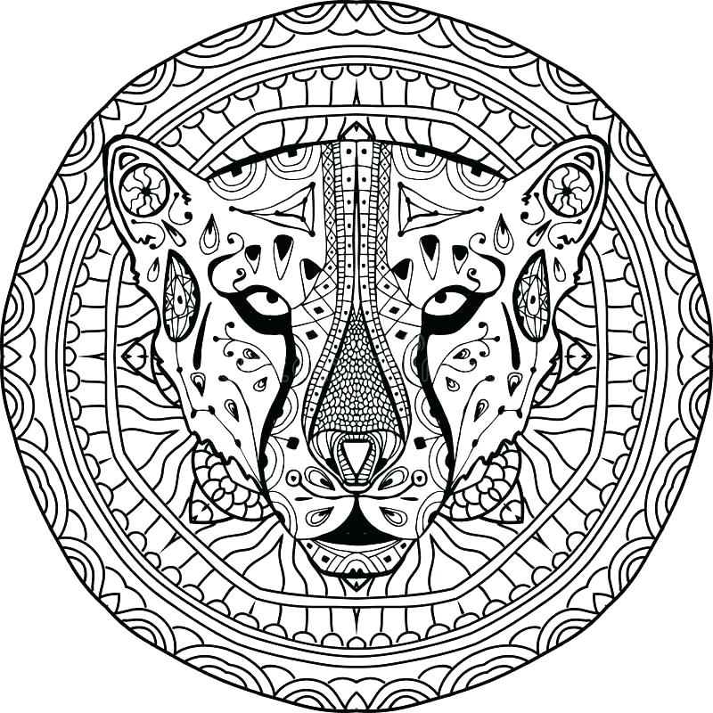 800x800 Cheetah Coloring Pages Cheetah Coloring Pages To Print Cheetah