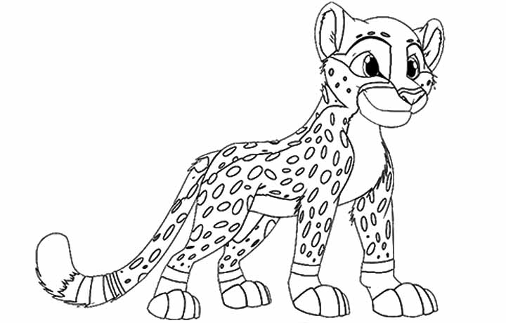 720x460 Cheetah Coloring Pages For Kids Coloringstar Cheetah Coloring