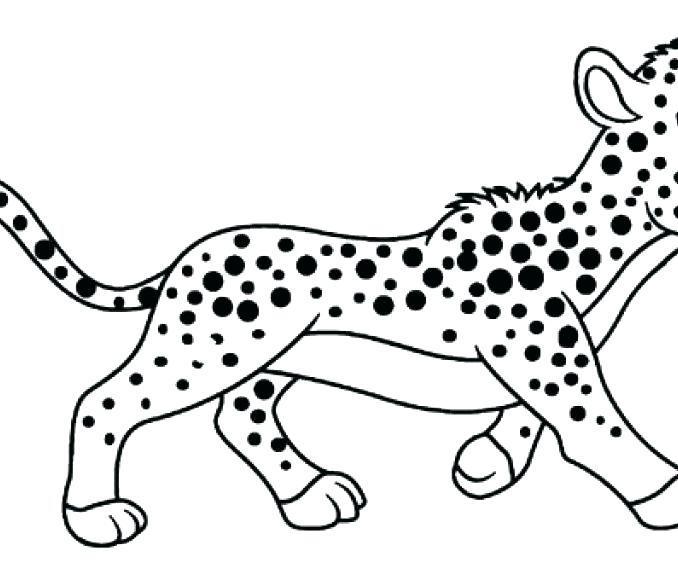 678x580 Cheetah Coloring Pages Kids Color Pages Also Cheetah Coloring