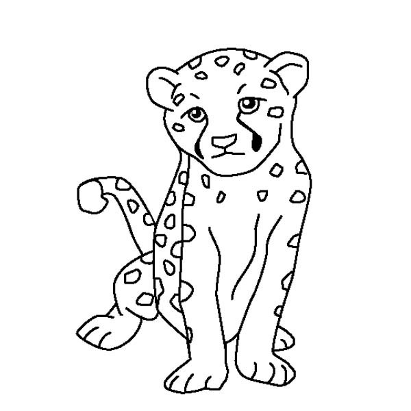 600x600 Cute Baby Cheetah Coloring Page