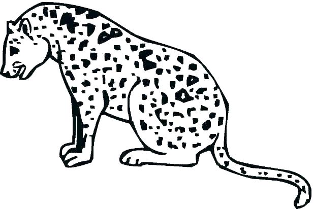 618x412 Printable Cheetah Coloring Pages For Kids Cheetah Color Page