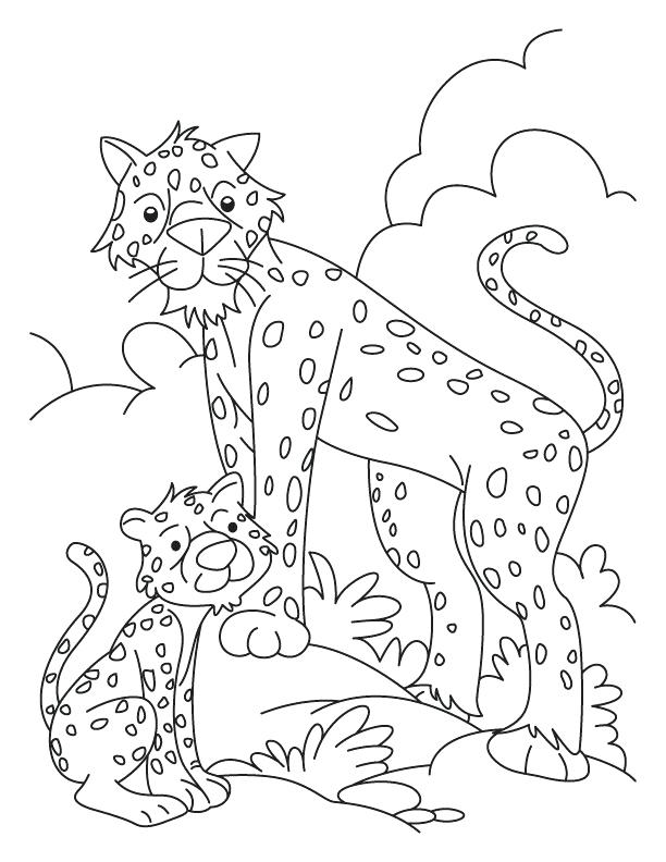 612x792 Coloring Pages Online Flowers Cheetah And Cub Download Free 1